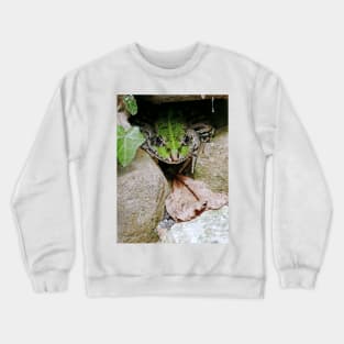 " Ciboulette " par le panasonic FZ 1000 par Olavia Olao  et okaio Créations Crewneck Sweatshirt